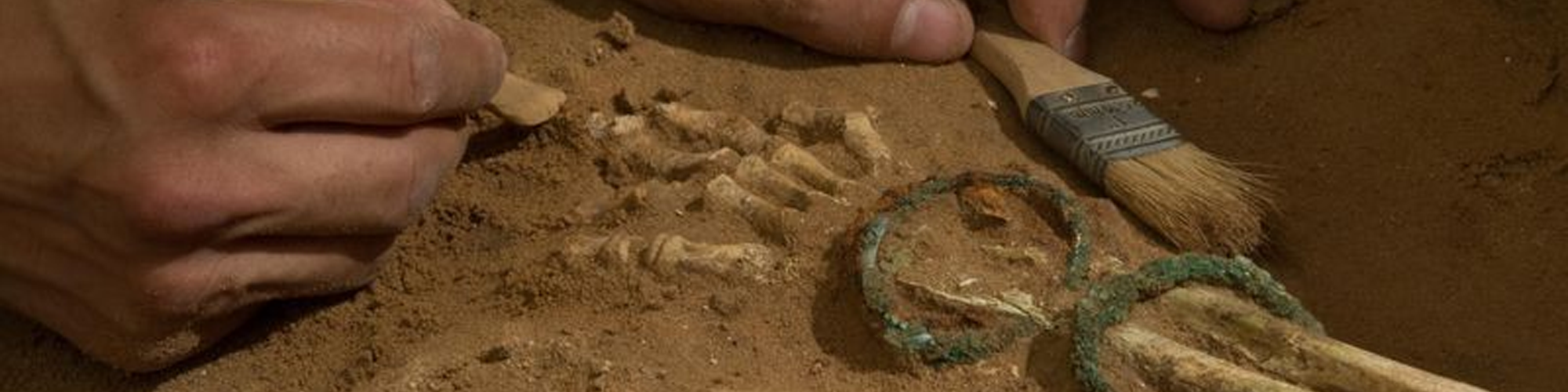 Pesquisa genética confirma relato bíblico sobre a origem dos filisteus, os arqui-inimigos de Israel 